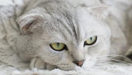 九游游戏中心-西甲战斗激烈，球员反馈赛后感受，西甲战果