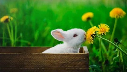 九游网游官网-姆巴佩加盟皇马，首秀即戴帽，姆巴佩加入皇马