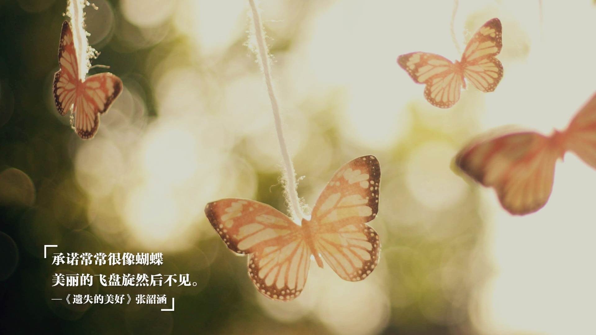 【打击战术揭秘】为何某队击球效率提升如此显著，击球时机