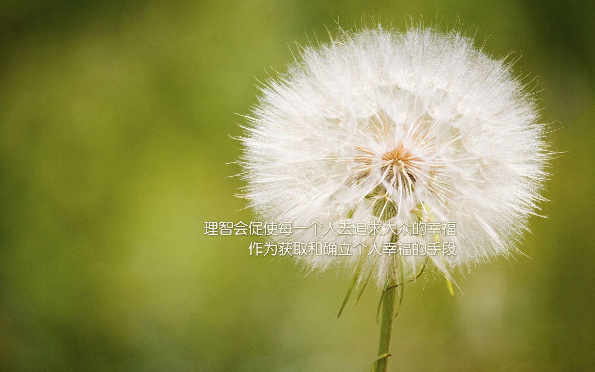 史上最震撼的“逆转奇迹”比赛，哪些你还记得？，逆转2021