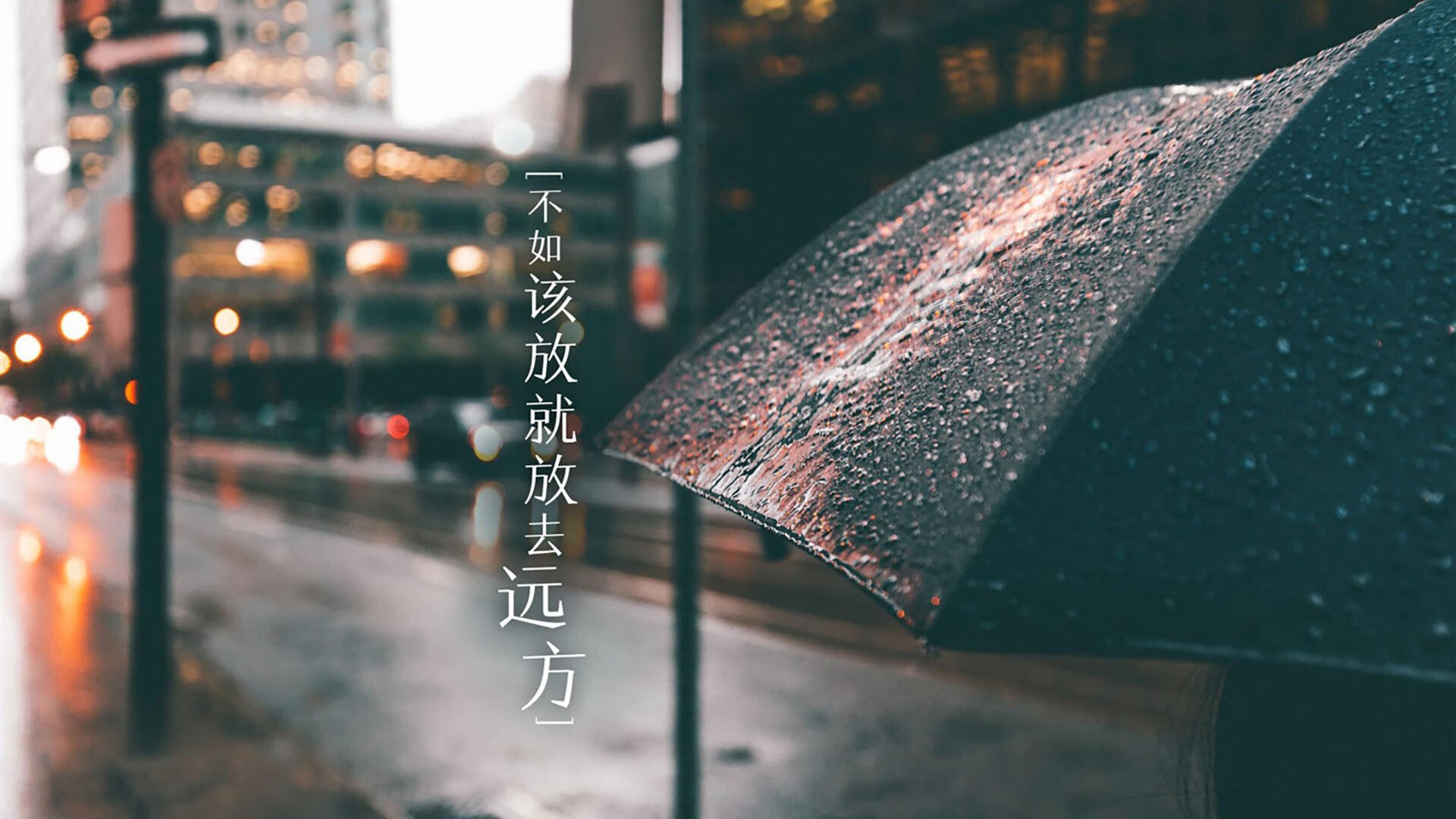 赛事期间的精彩表演与技术展示，赛事期间的精彩表演与技术展示作文