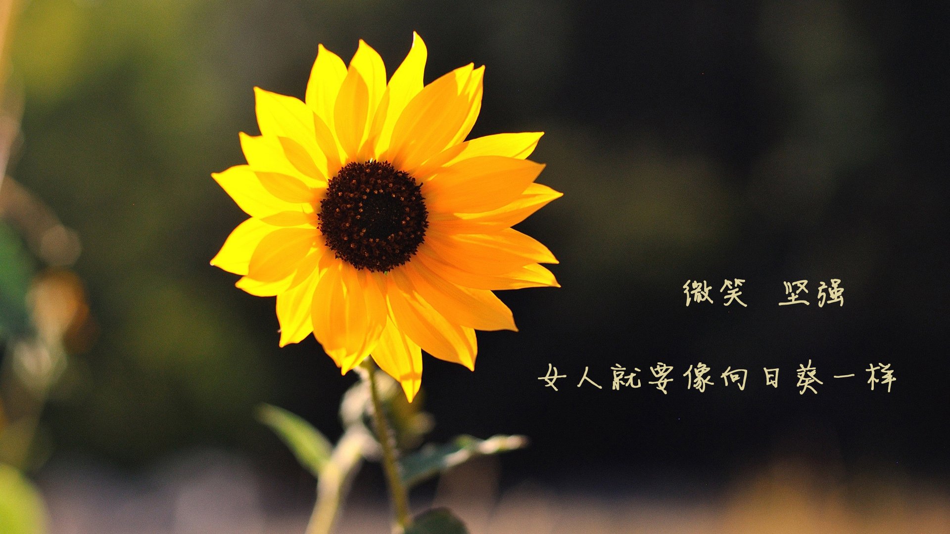车手私生活揭秘：生活中的他们比赛中更精彩，车手jason