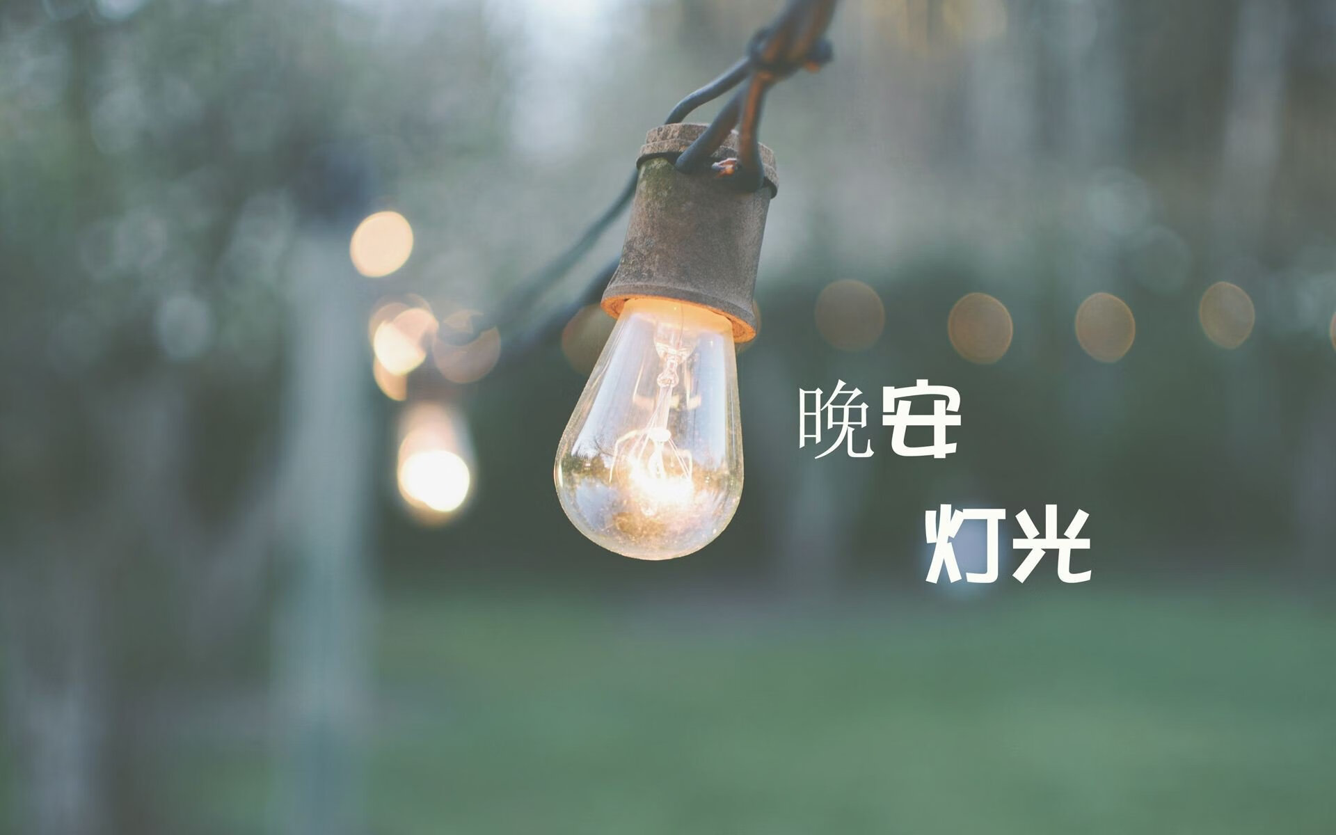 多特蒙德引进新后卫，德甲豪门加强实力，多特蒙德状态火爆锁定德甲半程冠军,全队身价首破5亿