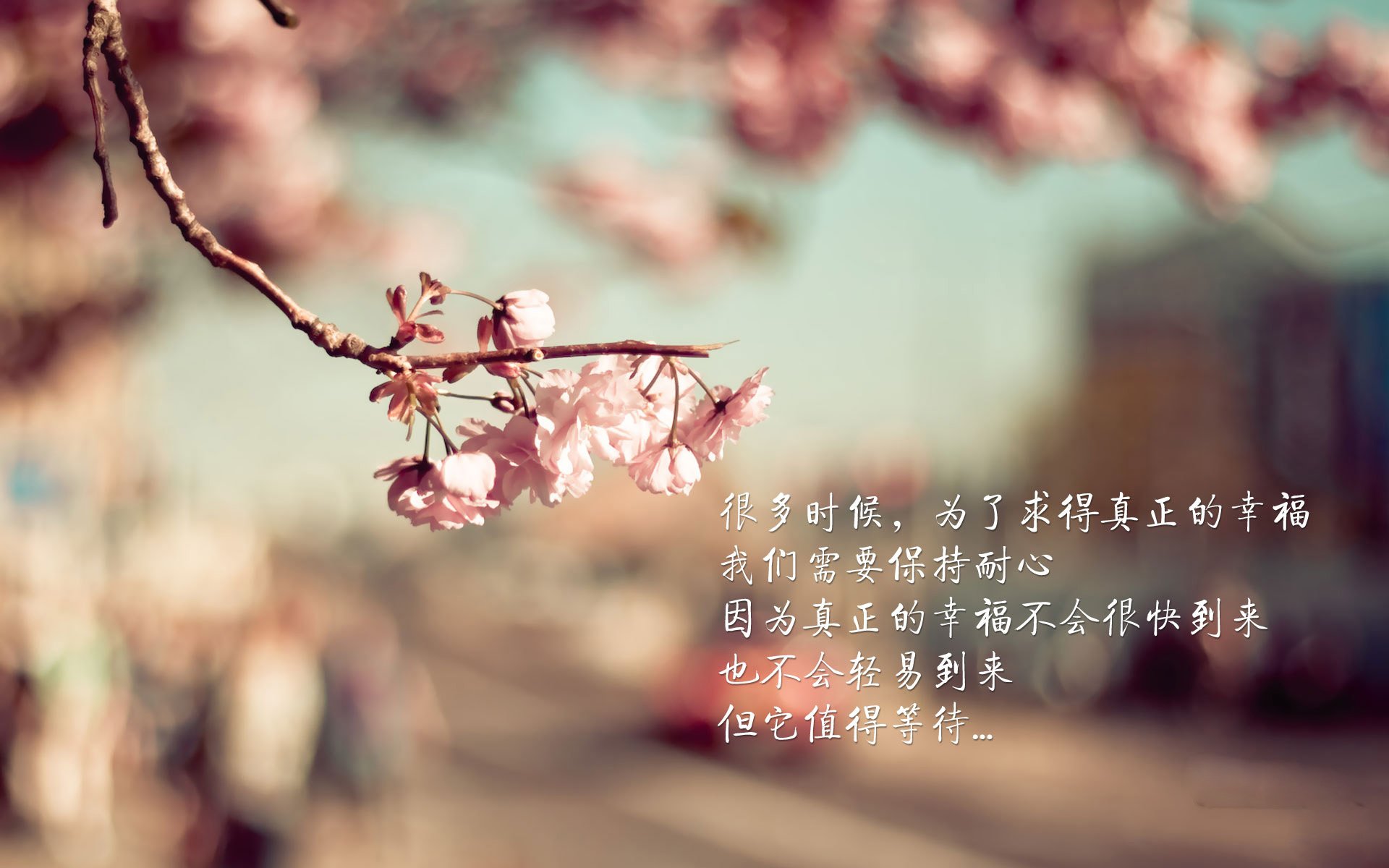 多特蒙德引进新后卫，德甲豪门加强实力，多特蒙德状态火爆锁定德甲半程冠军,全队身价首破5亿
