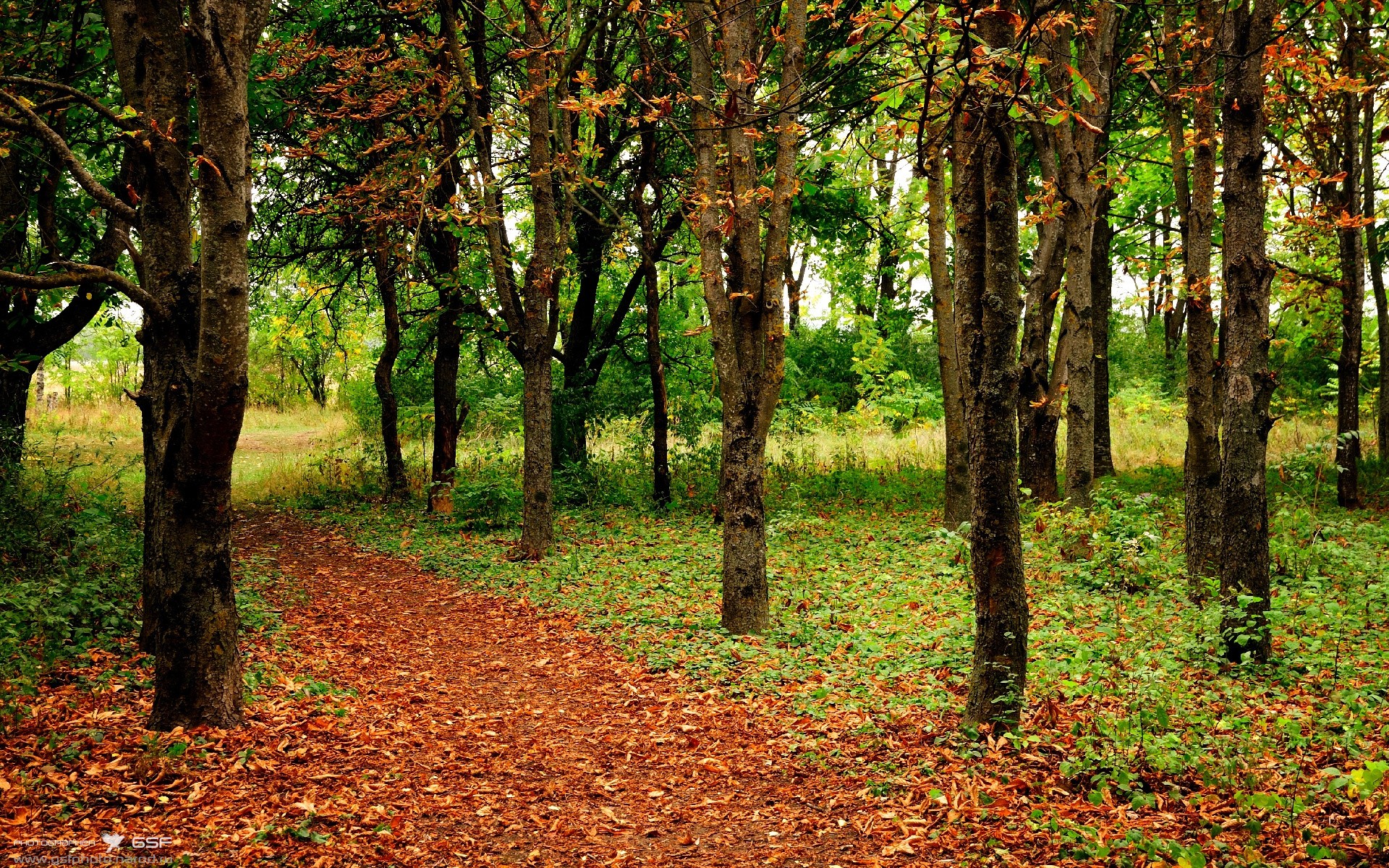 乒乓球旋转控制技术成为比赛胜负关键，乒乓球旋转原理分析
