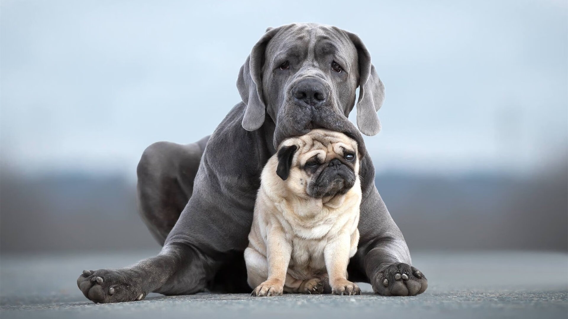 九游sports-五大联赛是否推动中后场组织点多核心分布，五大联赛广义实力定位