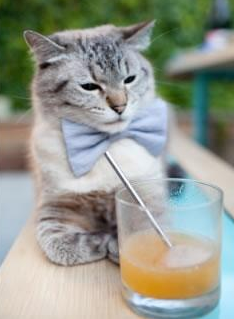 五大联赛是否推动中后场组织点多核心分布，五大联赛广义实力定位