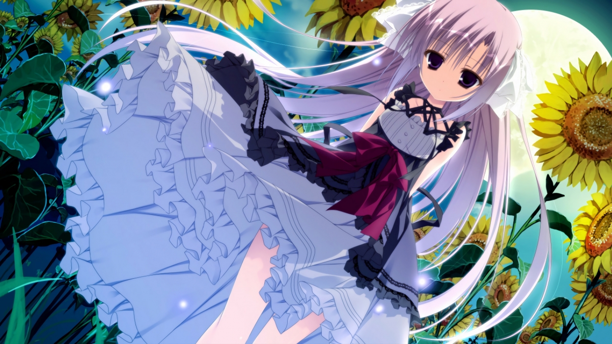 体育新闻中心主办体育文化数字化创新交流大会,数字化体育赛事