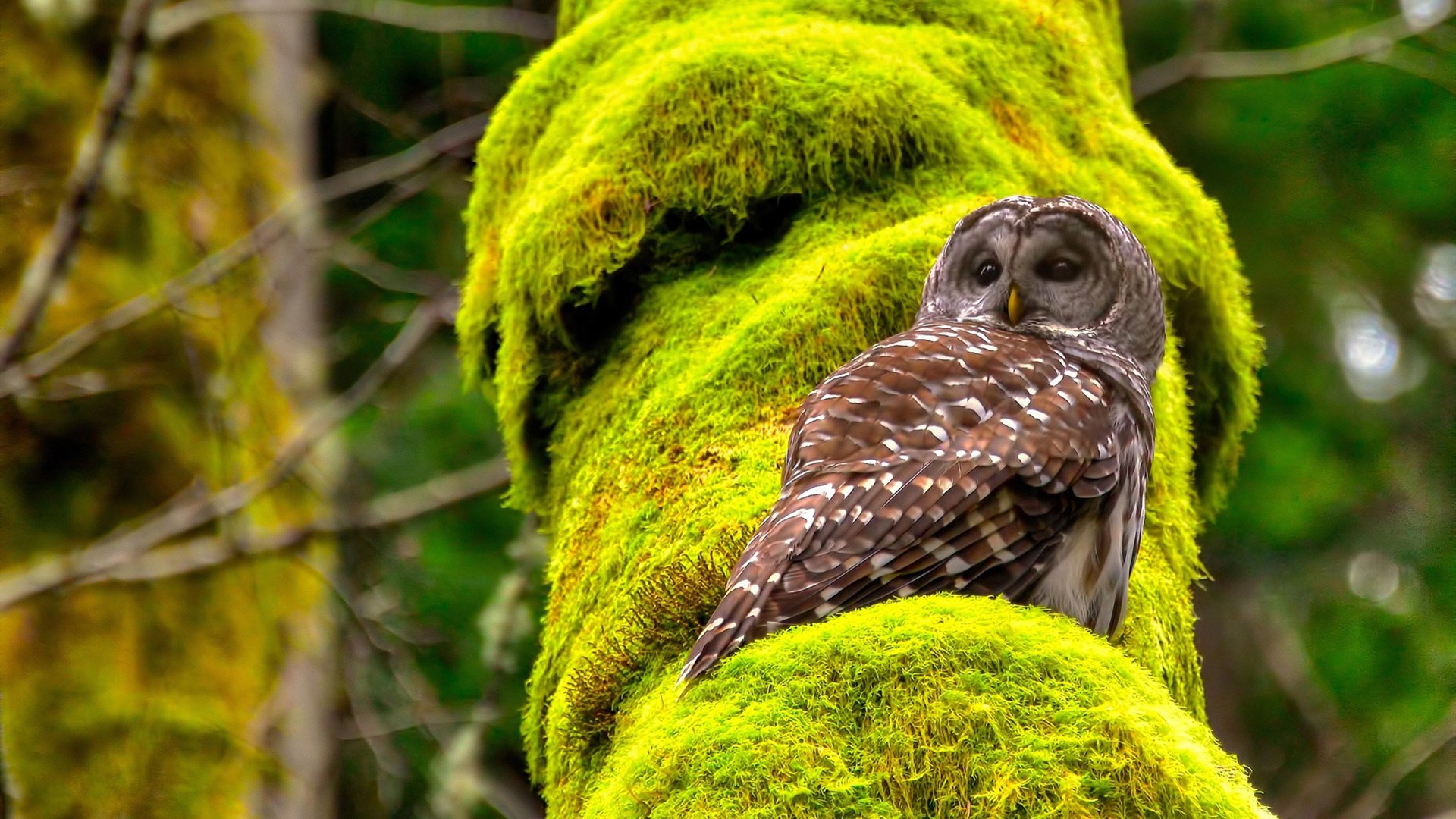 体育新闻中心主办体育文化数字化创新交流大会,数字化体育赛事