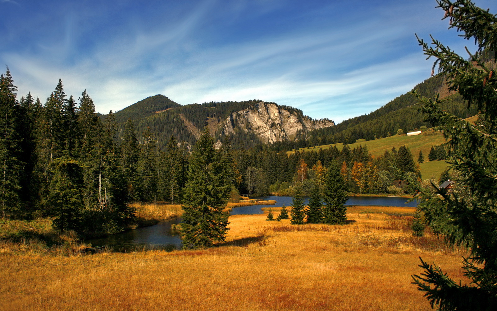 多名年轻选手崭露头角，未来可期