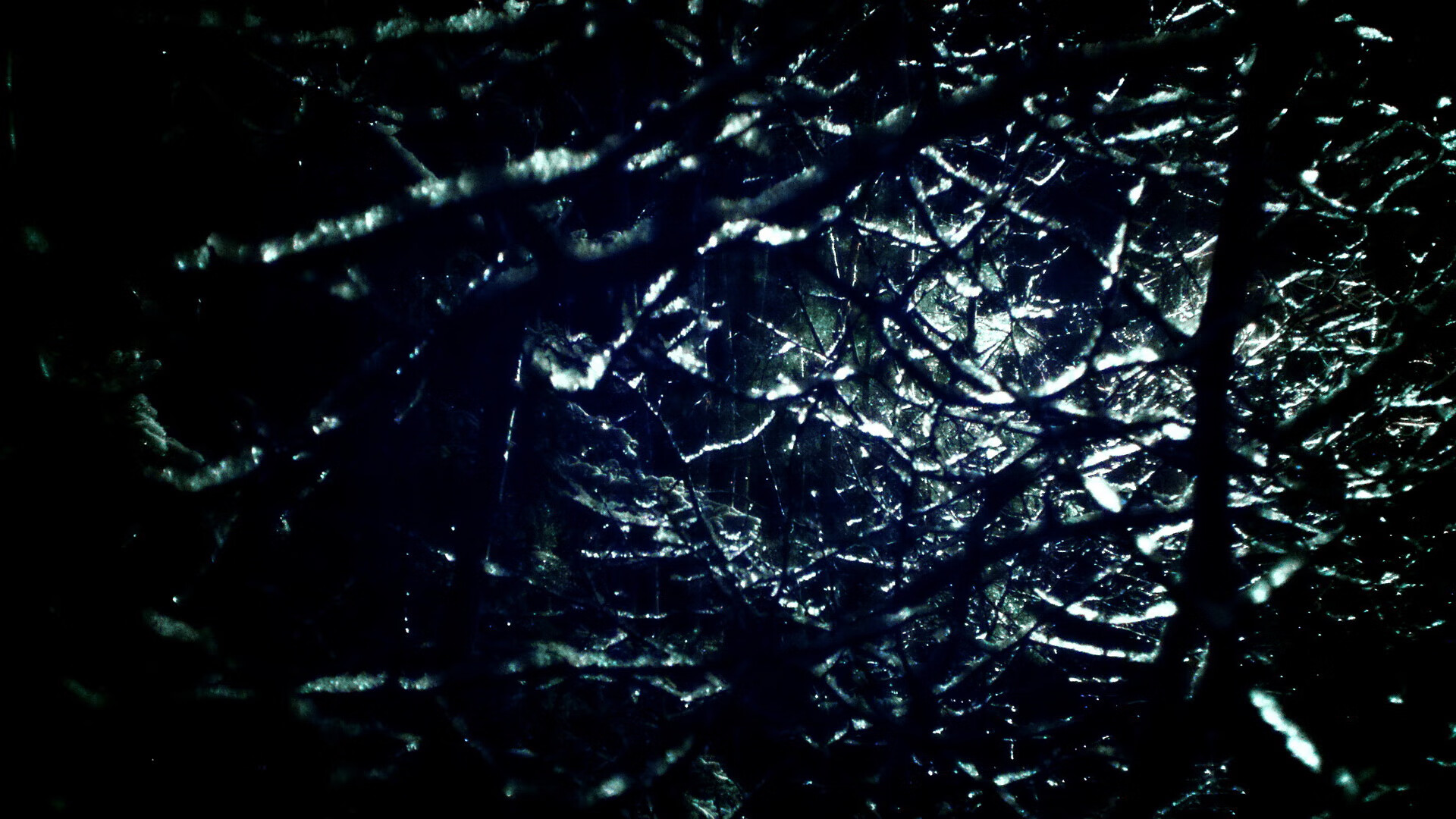 九游娱乐(jiuyou)官网-塔图姆数据爆表凯尔特人带动全队节奏，凯尔特人塔图姆几号