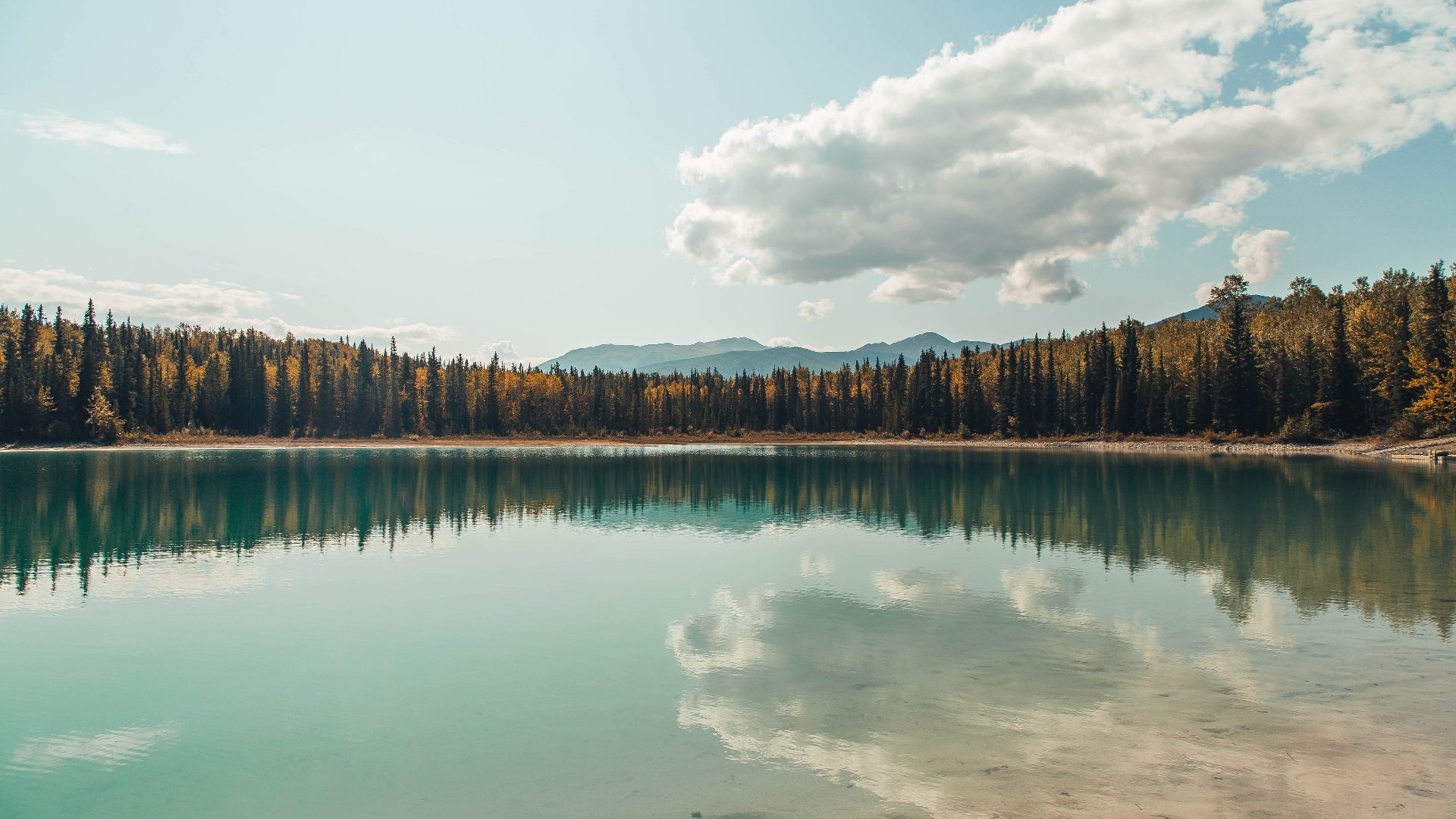 九游网-欧洲高水平俱乐部联赛，意大利球队爆冷夺冠，现场火爆异常，意大利欧国联赛战绩