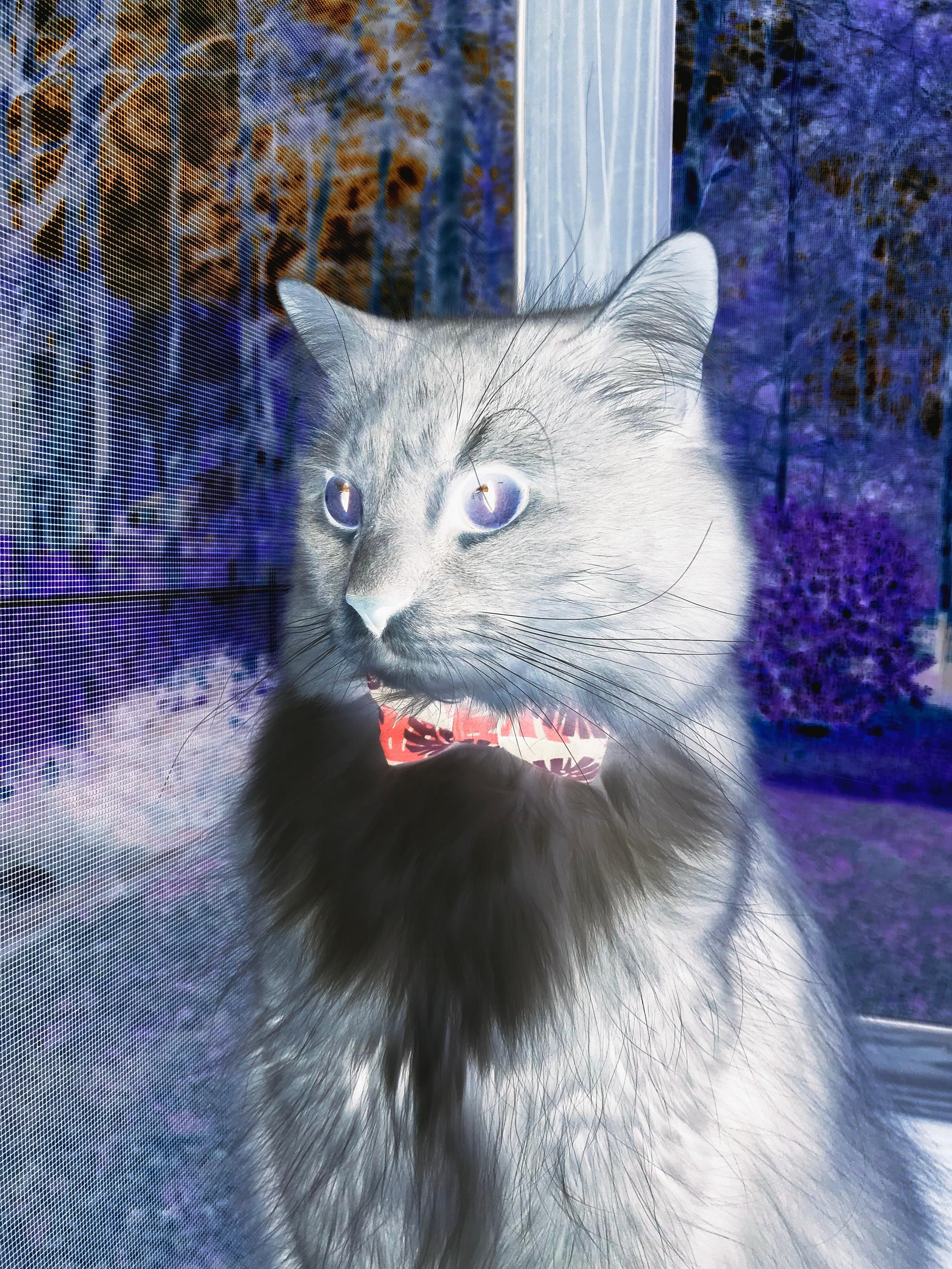 JIUYOU GAMING-法甲高手对决：战术多变，火花四溅，法甲冲突视频