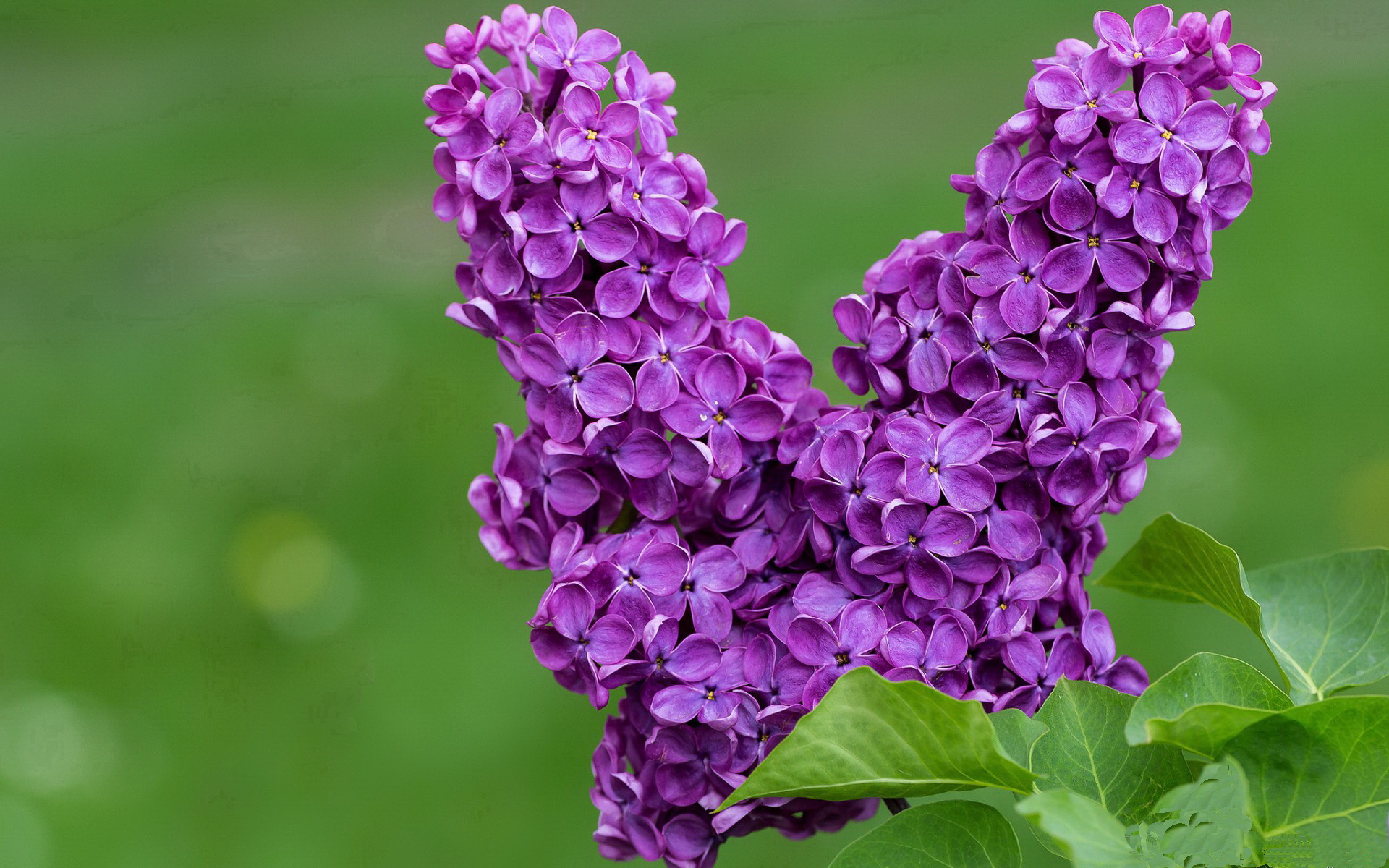 线上青少年足球培训课程持续优化,提供全方位教育服务,青少年足球培训班收费标准