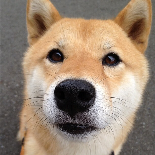 西甲豪门争锋：攻守精彩，精彩纷呈！，西甲豪门球队排名