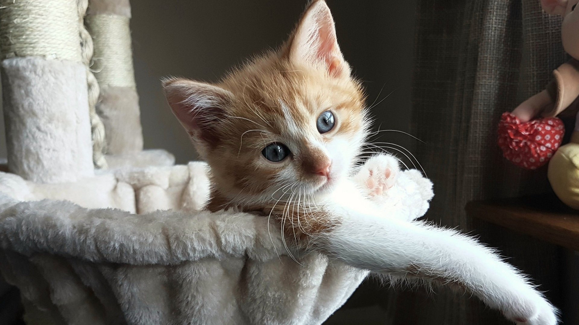 西甲神级门将：神扑多次救险引爆全场，西甲门将60米吊射