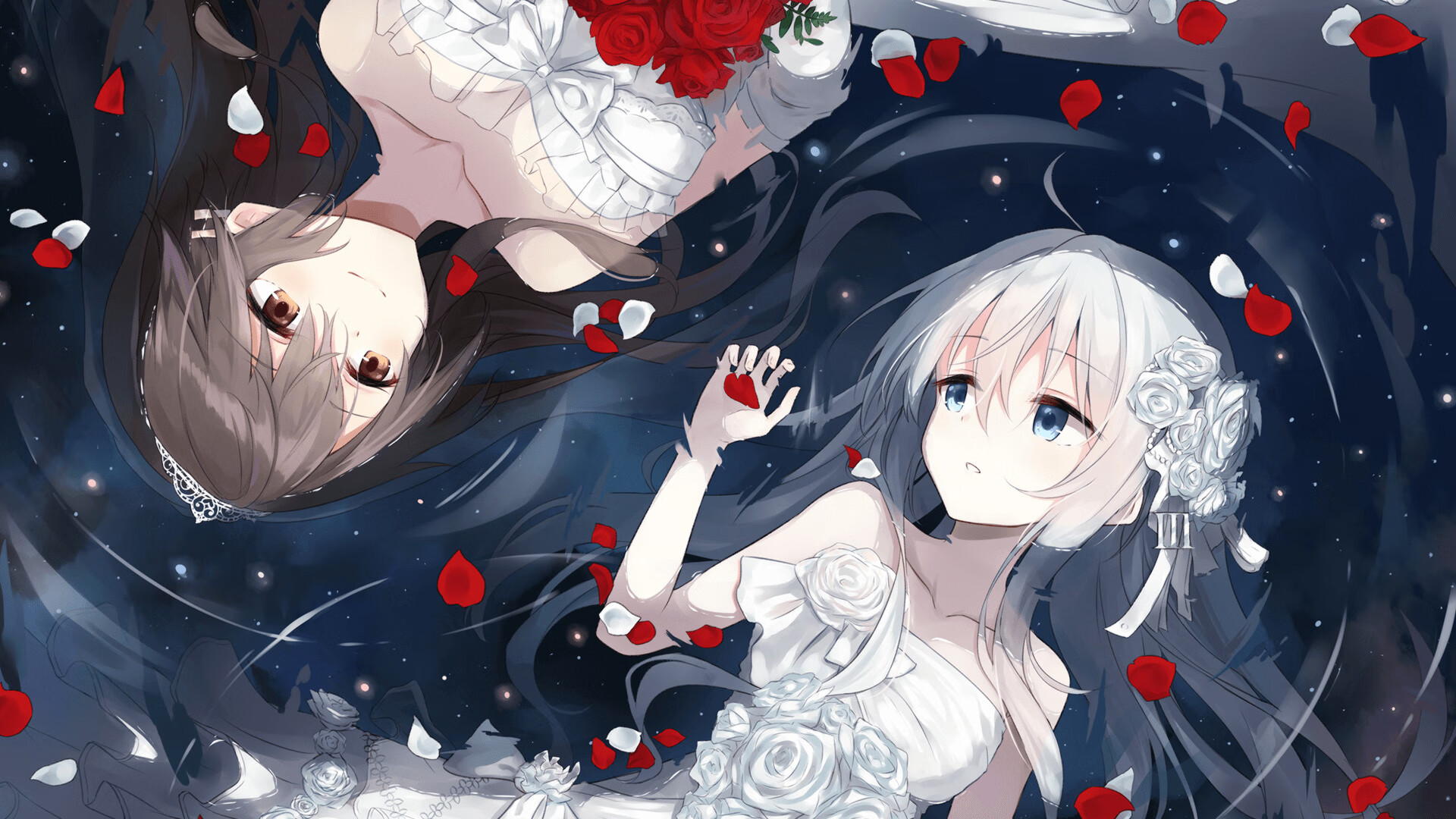 跳水难点克服突尼斯动作流畅,跳水 凸