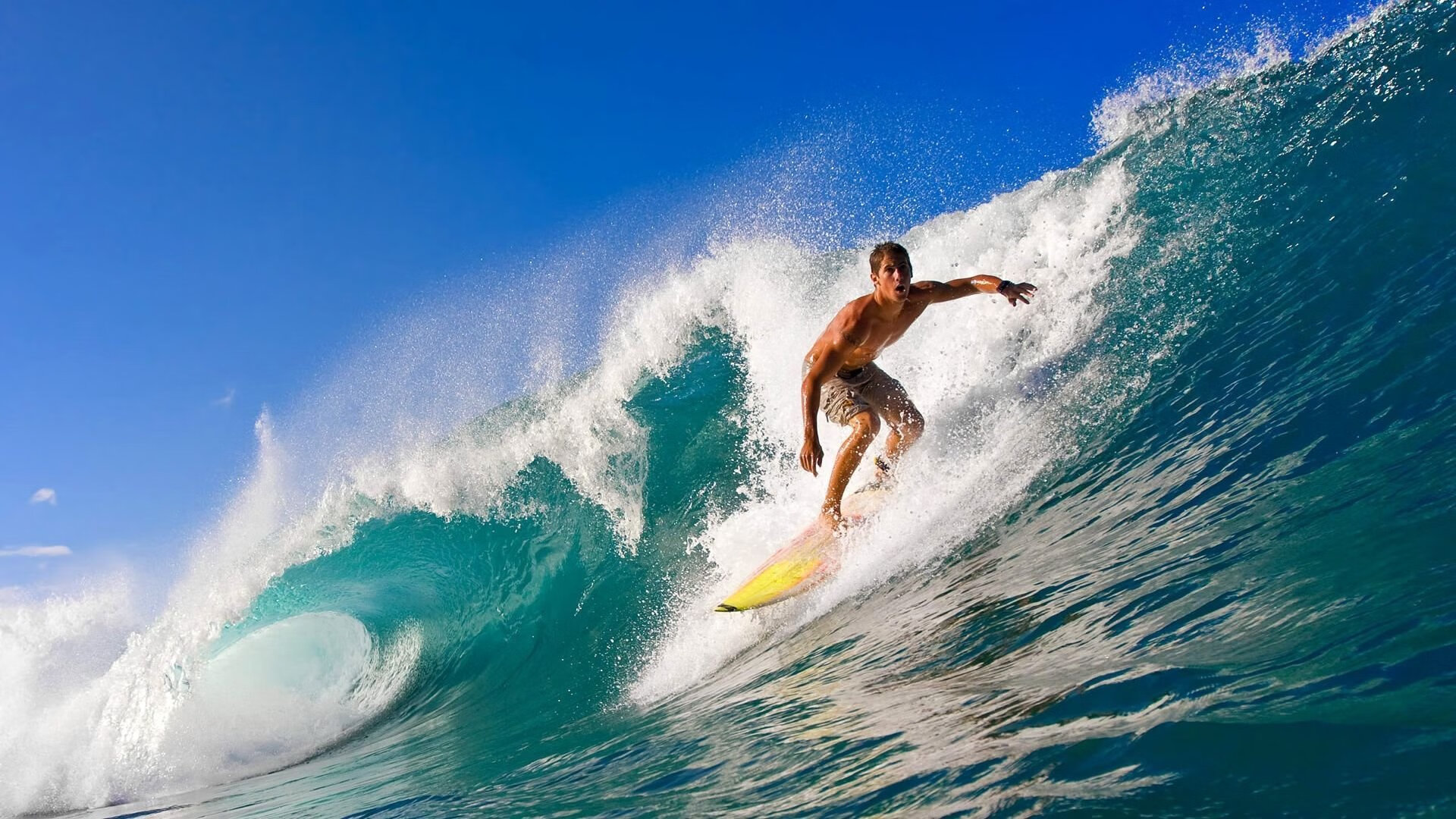 造梦之旅：年轻球员实现梦想的成长故事，造梦者官方网站